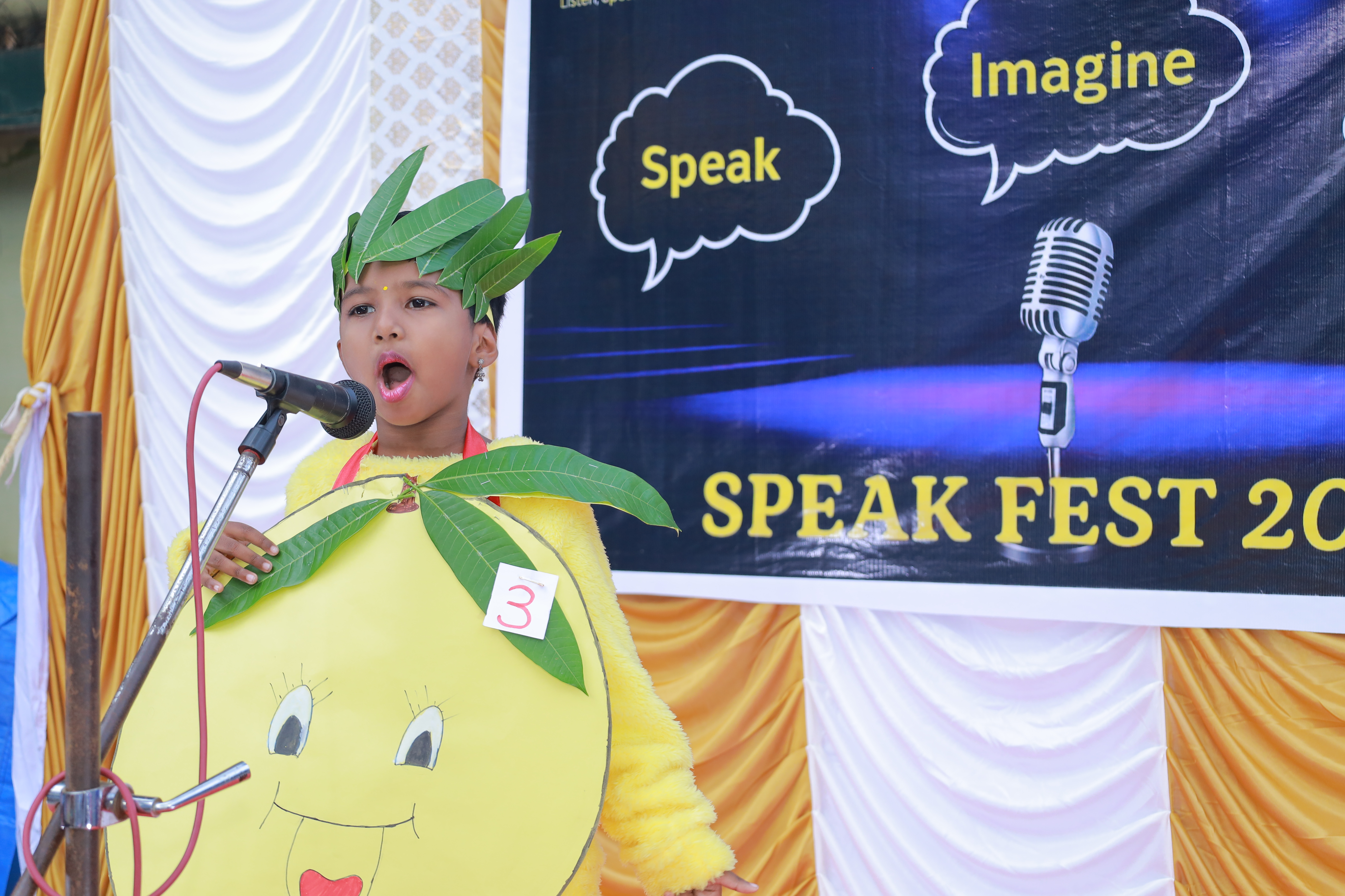 Festival celebration